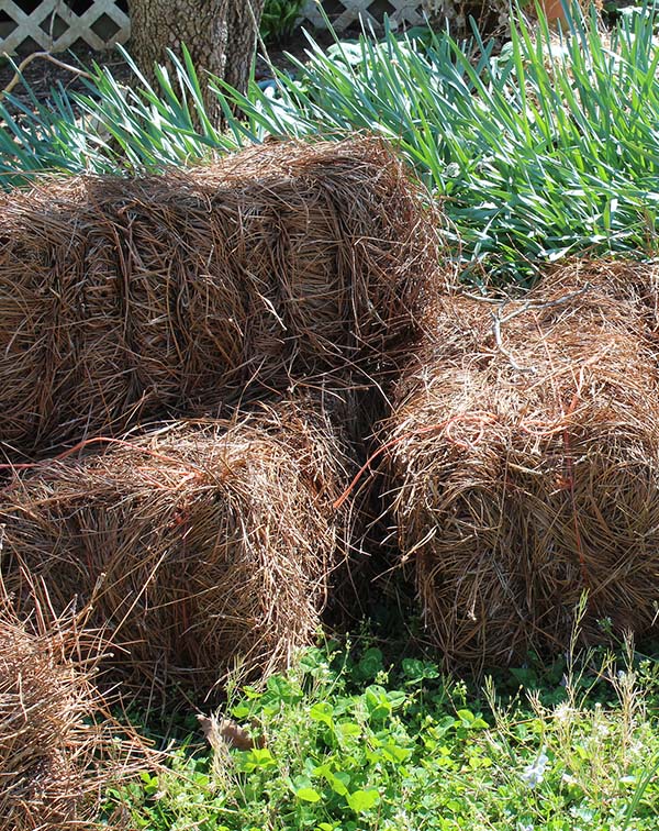 pine bales